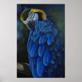 アララカニンド ポスター (正面)