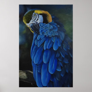 アララカニンド ポスター