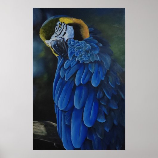 アララカニンド ポスター (正面)