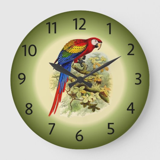 アララマカオ – Ara macao - Scarlet Macaw - to ラージ壁時計 (正面)