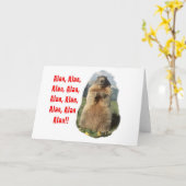 アランアランアラン カード (黄色い花)