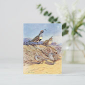 アランブルックスのウズラ ポストカード (スタンド正面)