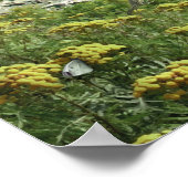 アラン・ギアナ「ポートランドヘッドライト」ポスター ポスター (角)