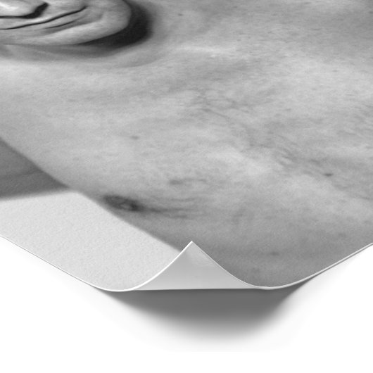 アラン・リクマン ポスター (角)