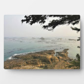 アラーゴ岬州パーク、オレゴン海岸 フォトプラーク (正面)