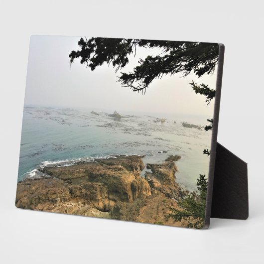 アラーゴ岬州パーク、オレゴン海岸 フォトプラーク (側面)