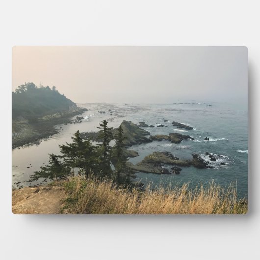 アラーゴ岬州パーク、オレゴン海岸 フォトプラーク (正面)