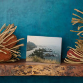 アラーゴ岬州パーク、オレゴン海岸 フォトプラーク (側面)