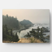 アラーゴ岬州パーク、オレゴン海岸 フォトプラーク (正面)