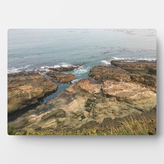 アラーゴ岬州パーク、オレゴン海岸 フォトプラーク (正面)