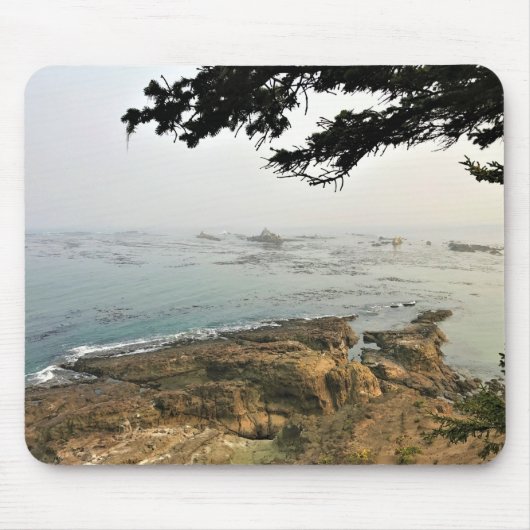 アラーゴ岬州パーク、オレゴン海岸 マウスパッド (正面)