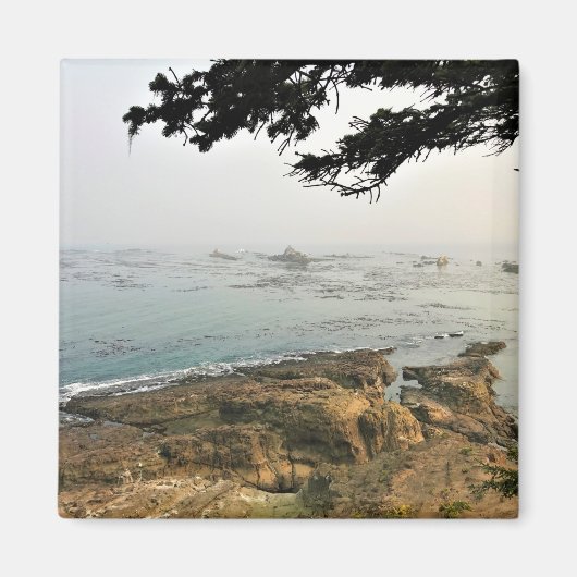 アラーゴ岬州パーク、オレゴン海岸 マグネット (正面)