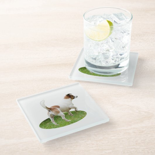 「アラートと準備完了：茶色と白のキツネ・テリア ガラスコースター (アングル)