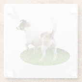 「アラートと準備完了：茶色と白のキツネ・テリア ガラスコースター (裏面)