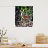 アラート時 ポスター (キッチン)