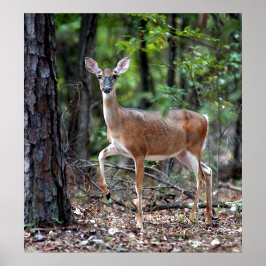 アラート時 ポスター (正面)