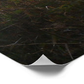 アラートDoeポスター ポスター (角)