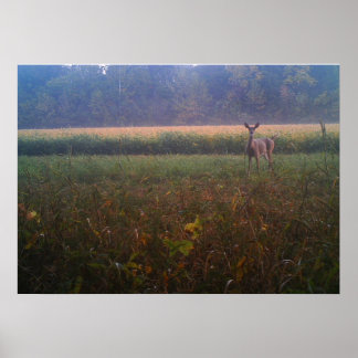 アラートDoeポスター ポスター