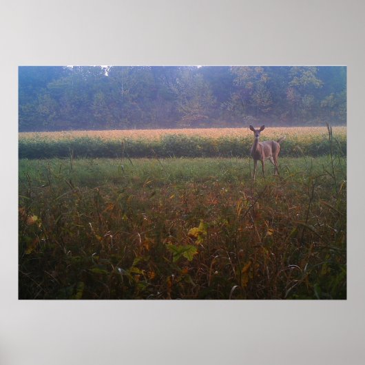 アラートDoeポスター ポスター (正面)