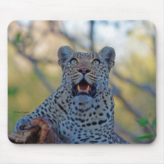 アラートLeopard マウスパッド (正面)