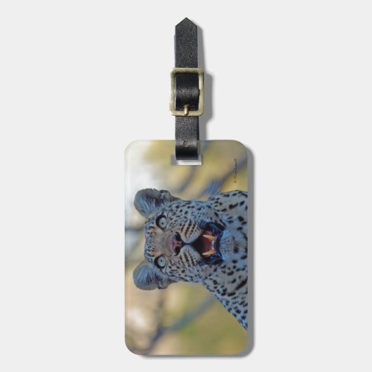 アラートLeopard ラゲッジタグ (正面縦)