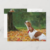 アラームを鳴らす ポストカード (正面/裏面)