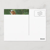 アラームを鳴らす ポストカード (裏面)