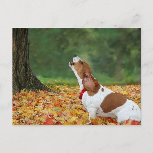 アラームを鳴らす ポストカード (正面)