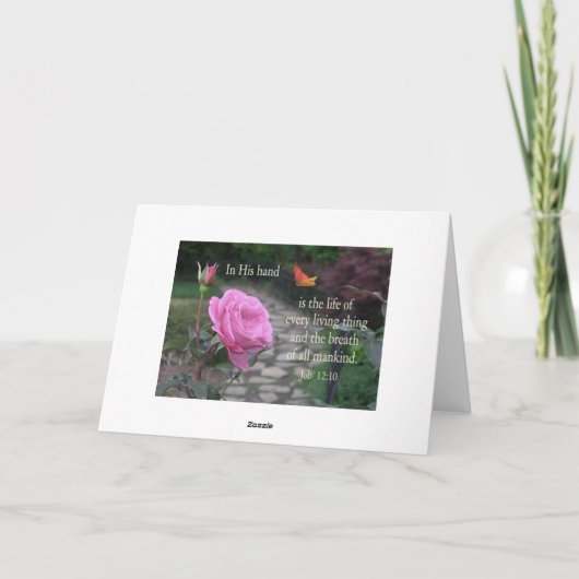 アラーム カード (裏面)