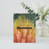 アラーム ポストカード (スタンド正面)