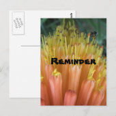 アラーム ポストカード (正面/裏面)