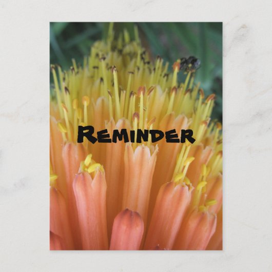 アラーム ポストカード (正面)