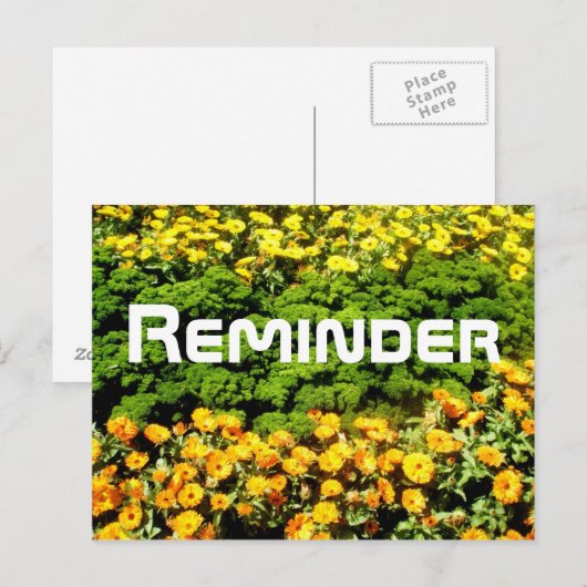 アラーム ポストカード (正面/裏面)