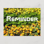 アラーム ポストカード (正面)