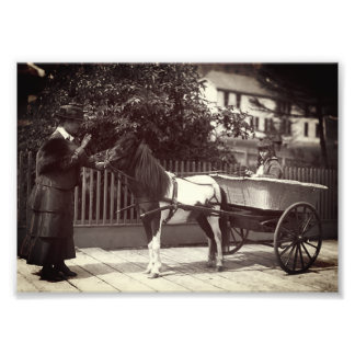 アラ絵を描ス・ジュノーのヴィンテージ・ポニー・カート フォトプリント           