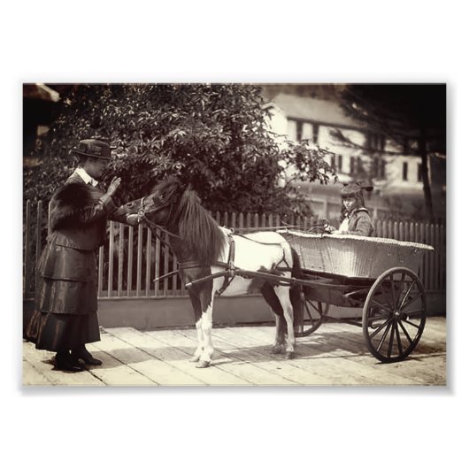 アラ絵を描ス・ジュノーのヴィンテージ・ポニー・カート フォトプリント            (正面)