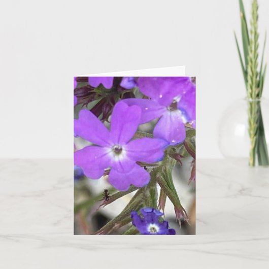 アリが顔を上げ🐜をかじる サンキューカード (正面)