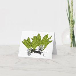 アリのアンドリュー カード