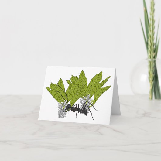 アリのアンドリュー カード (正面)