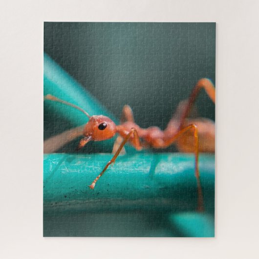 アリのクローズアップ ジグソーパズル (縦)