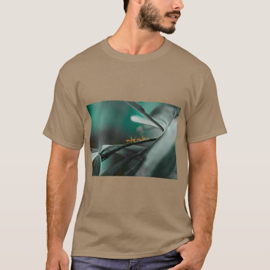 アリのグラフィックTシャツ Tシャツ (正面)