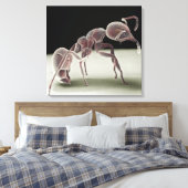 アリの側面 キャンバスプリント (インサイチュ (寝室))
