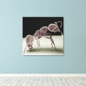 アリの側面 キャンバスプリント (インサイチュ (ウッドフロア))