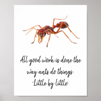 アリの働き方 ポスター