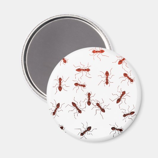アリの匂い。 マグネット (正面/裏面)