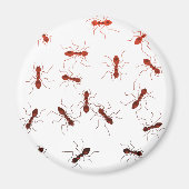 アリの匂い。 マグネット (正面)