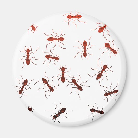 アリの匂い。 マグネット (正面)