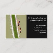 アリの害虫駆除剤による害虫駆除 名刺 (裏面)