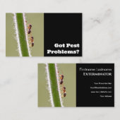 アリの害虫駆除剤による害虫駆除 名刺 (正面/裏面)