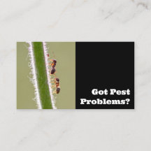 アリの害虫駆除剤による害虫駆除